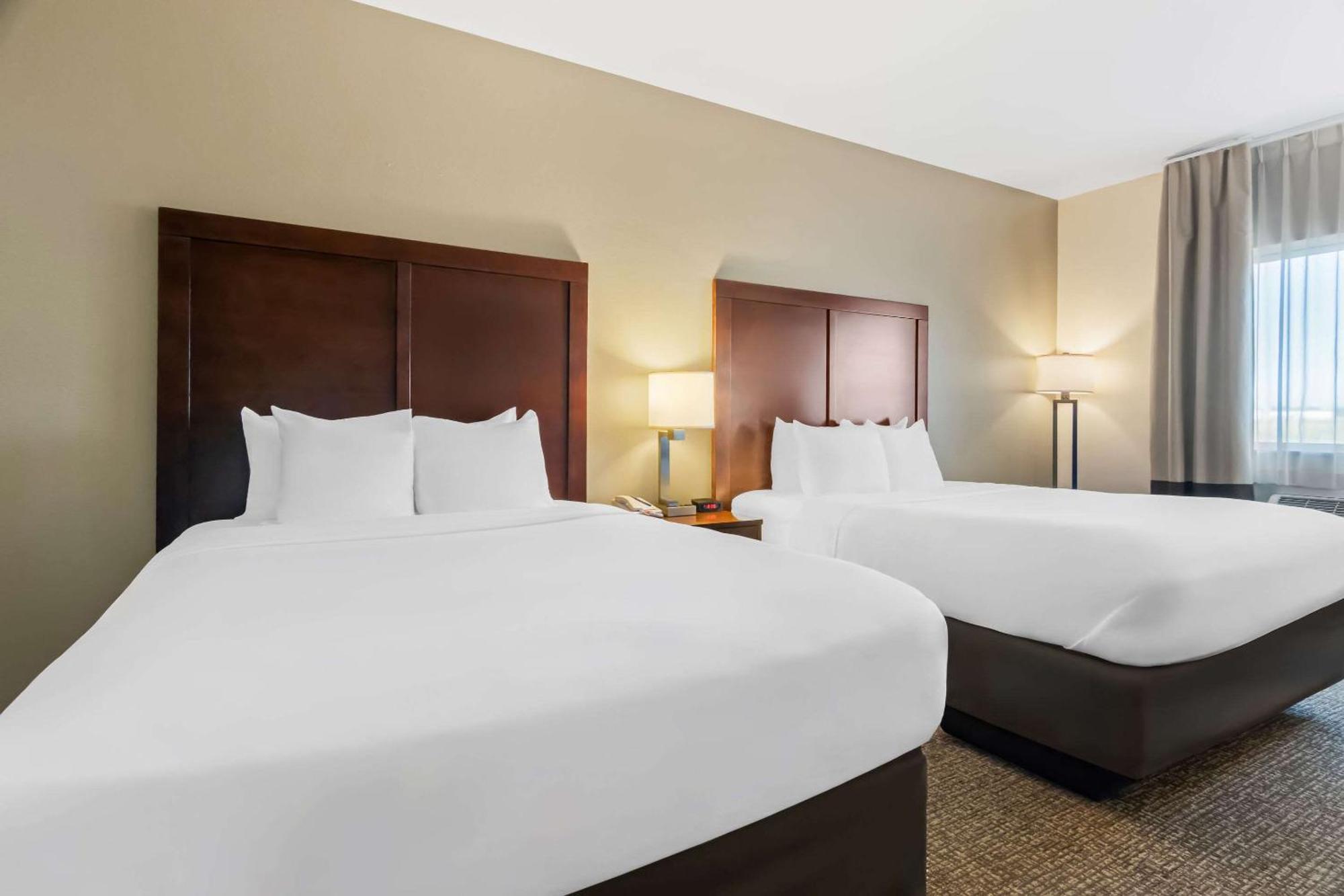 Comfort Inn Hebron-Lowell Area Dinwiddie Dış mekan fotoğraf